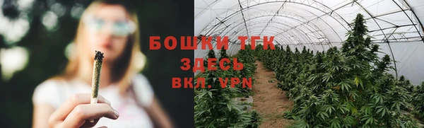 винт Горно-Алтайск