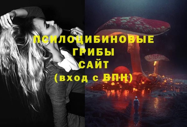 винт Горно-Алтайск