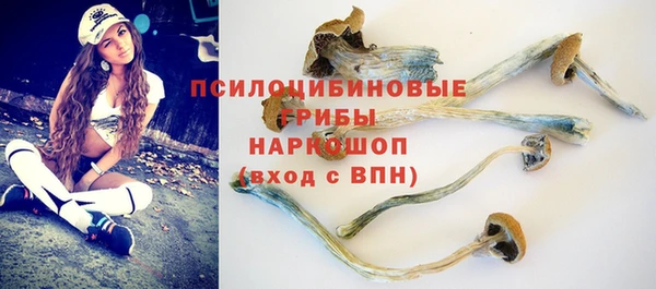 круглые Алзамай