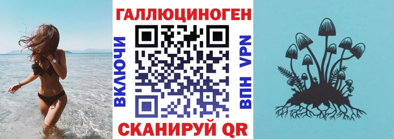 Галлюциногенные грибы Psilocybe  Керчь 