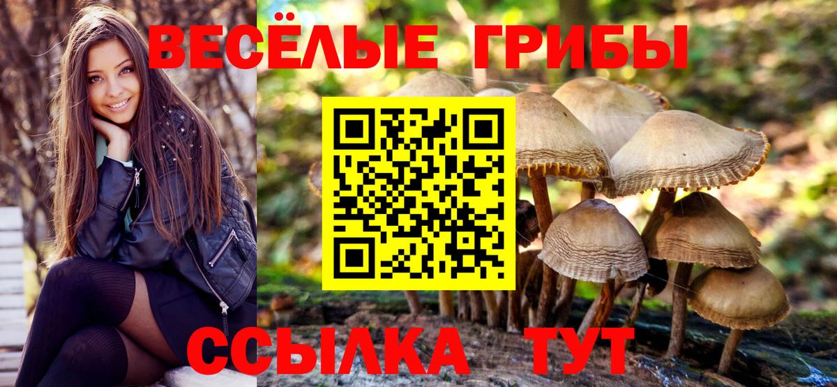 Галлюциногенные грибы Magic Shrooms Керчь