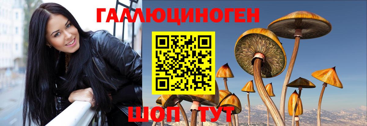 наркошоп  Вход с VPN  Керчь  Галлюциногенные грибы мухоморы 