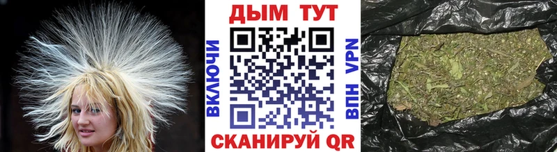 Конопля гибрид  Керчь 